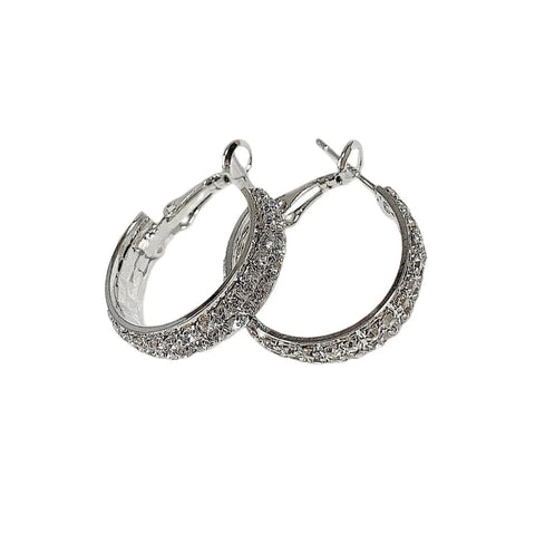 🔥BIG SALE - 48% OFF🔥🔥Sparkle Small Hoop Earrings